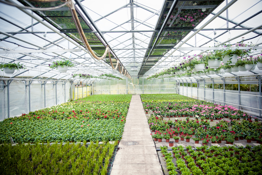 agriculture d'entreprise