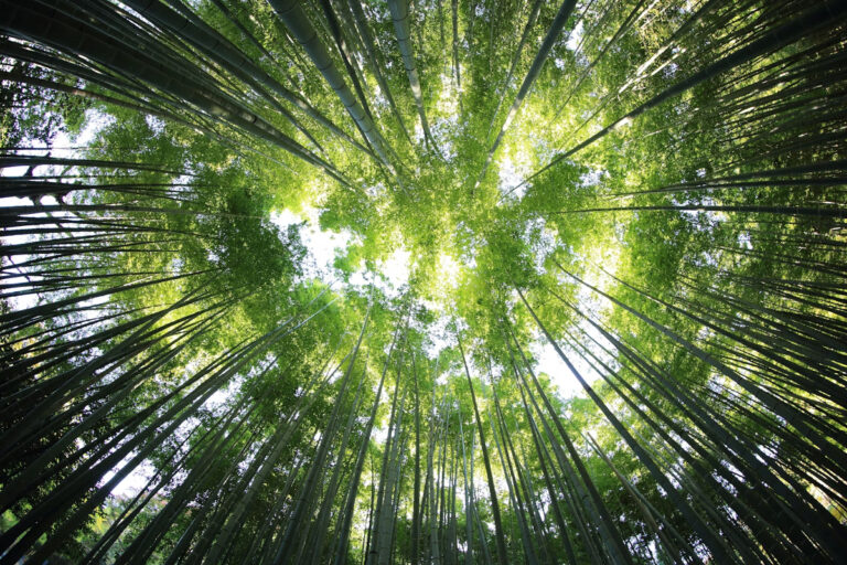 protection environnement